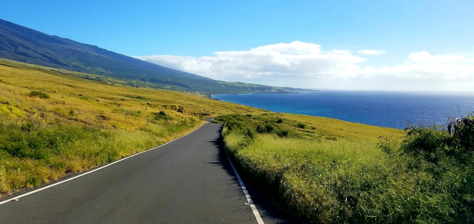 Tours to Hana Maui, adventures for life — XMX